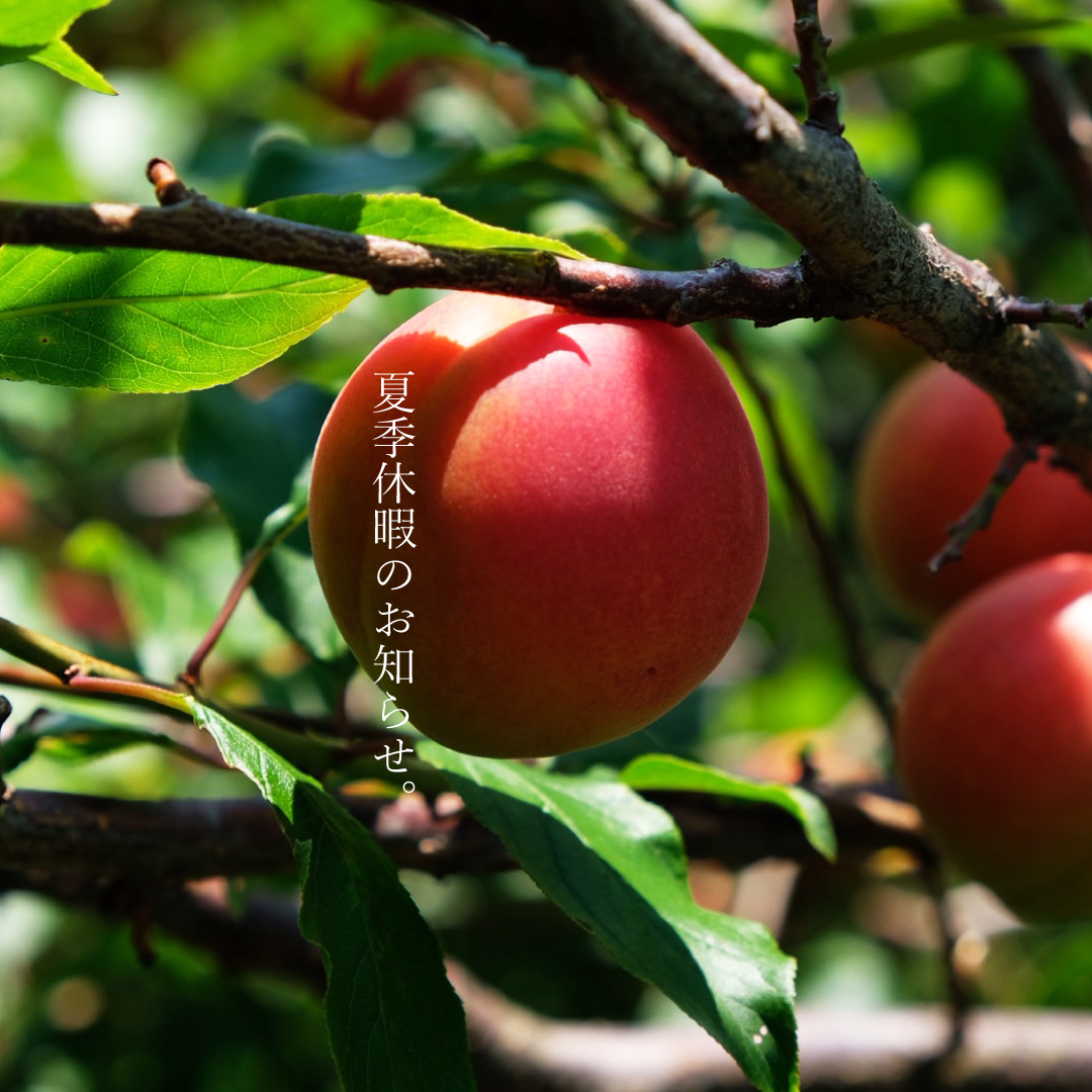 年末年始営業日のお知らせ。